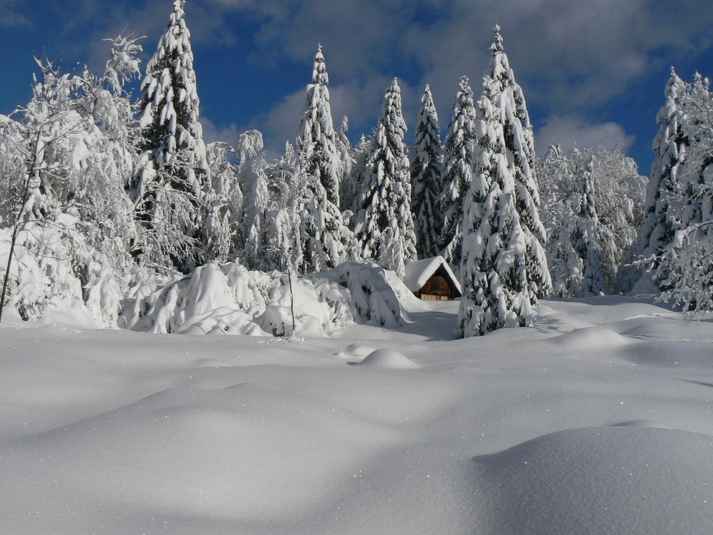 Hiska Henrik Zalokar Apartment Bohinj Bagian luar foto