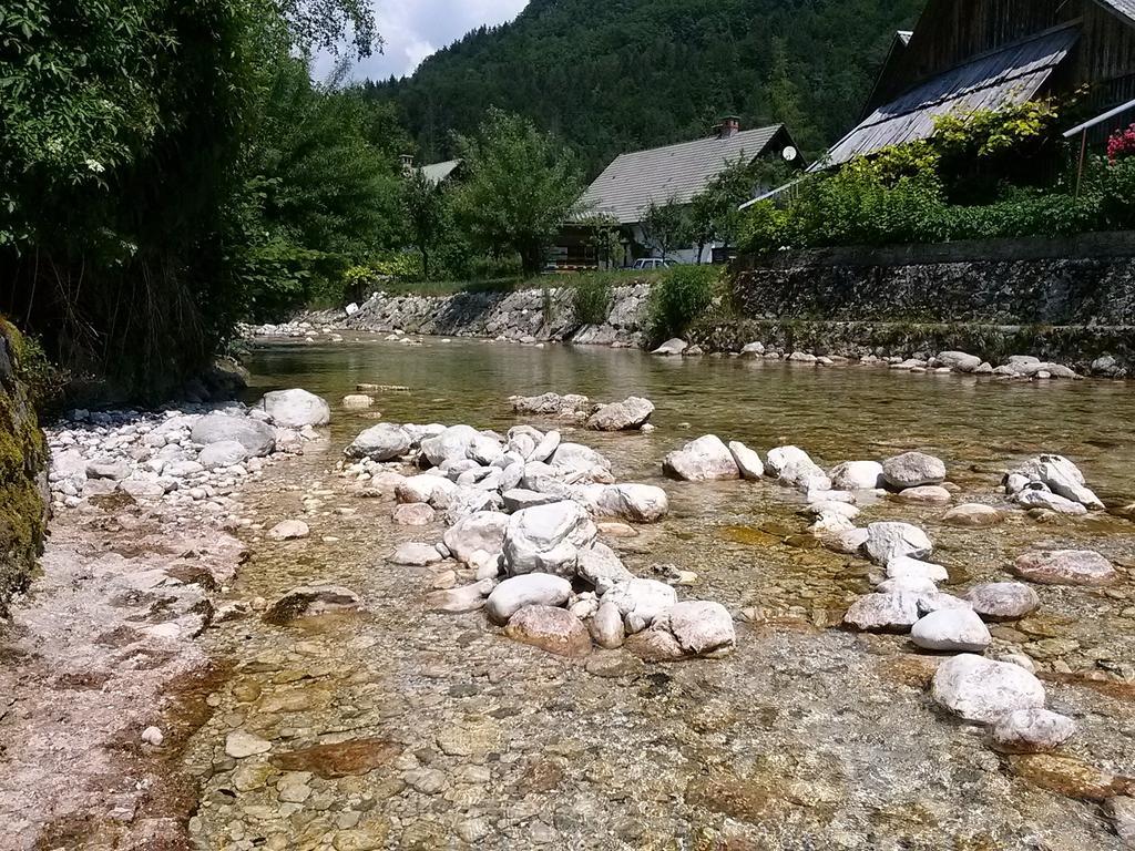 Hiska Henrik Zalokar Apartment Bohinj Ruang foto