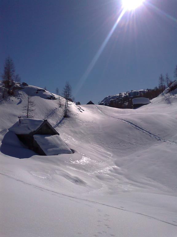 Hiska Henrik Zalokar Apartment Bohinj Bagian luar foto