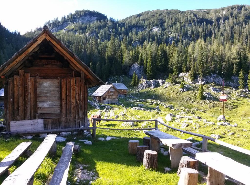 Hiska Henrik Zalokar Apartment Bohinj Ruang foto