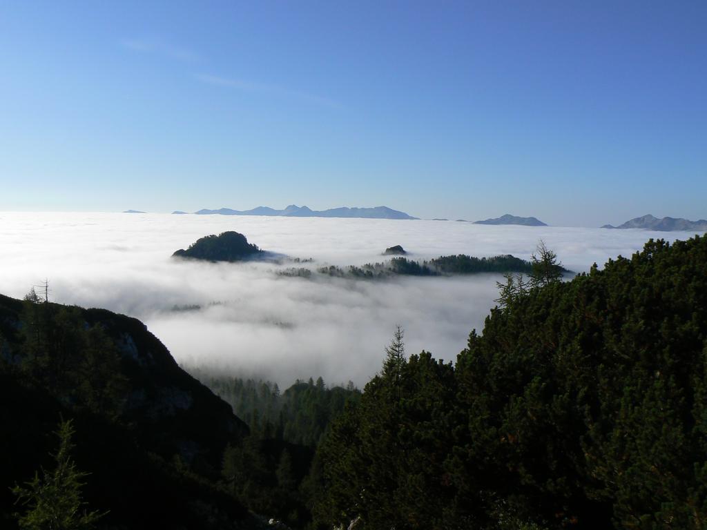 Hiska Henrik Zalokar Apartment Bohinj Ruang foto