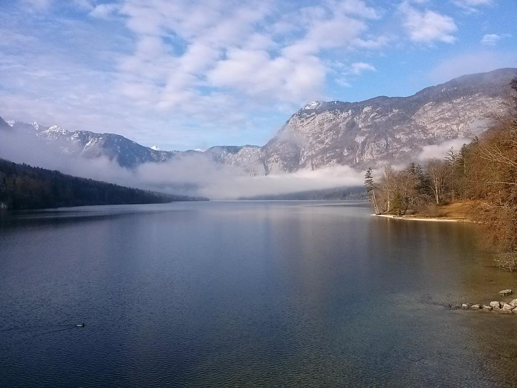 Hiska Henrik Zalokar Apartment Bohinj Bagian luar foto