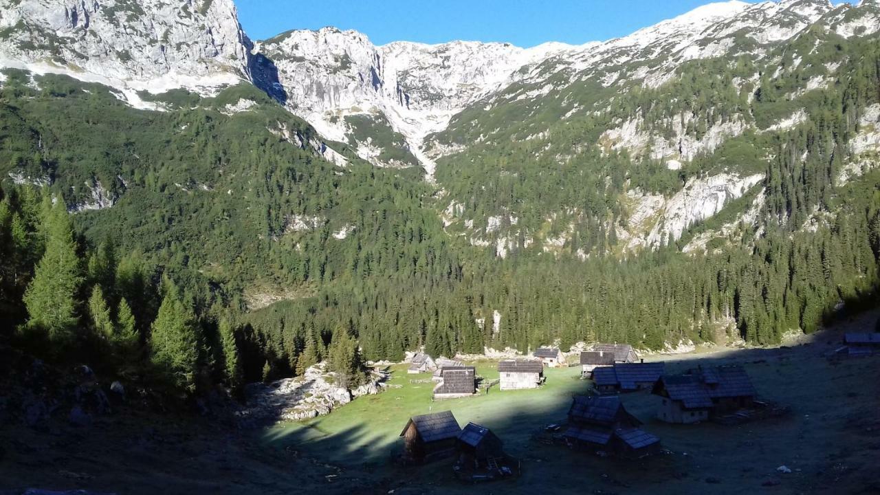 Hiska Henrik Zalokar Apartment Bohinj Bagian luar foto