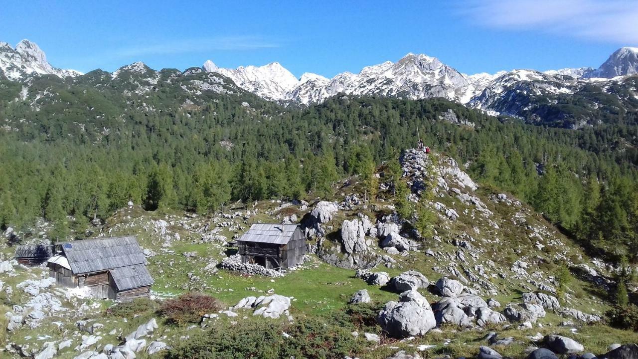 Hiska Henrik Zalokar Apartment Bohinj Bagian luar foto