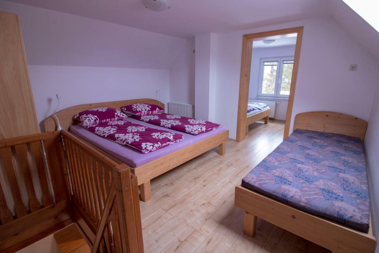Hiska Henrik Zalokar Apartment Bohinj Bagian luar foto