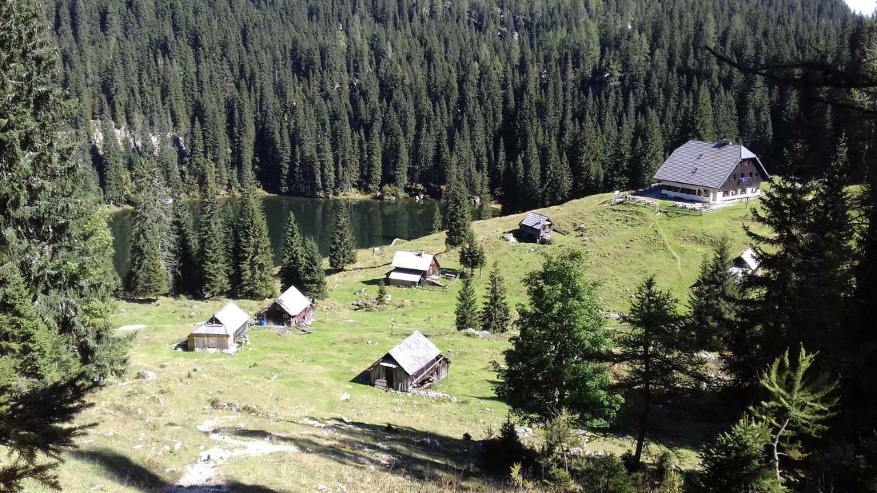 Hiska Henrik Zalokar Apartment Bohinj Bagian luar foto
